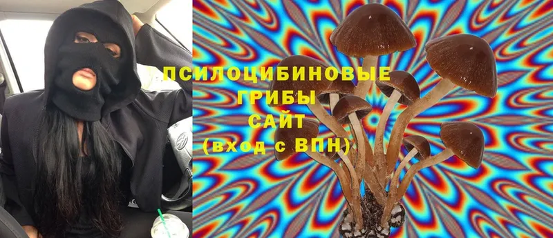 даркнет сайт  Бавлы  Галлюциногенные грибы Psilocybe 